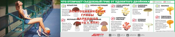 мяу мяу кристалл Елабуга