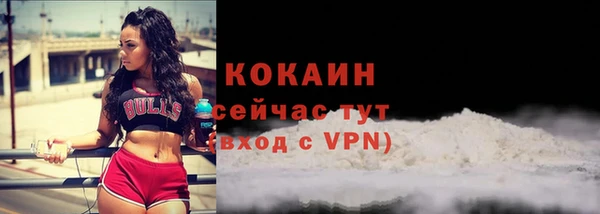 МДМА Ельня