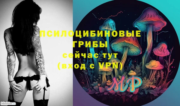 мяу мяу кристалл Елабуга
