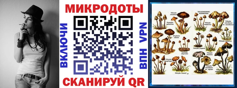 Купить где  Рязань  Псилоцибиновые грибы мицелий 